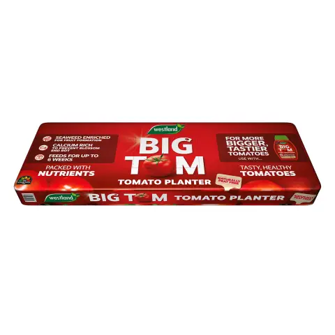 Big Tom Tomato Planter