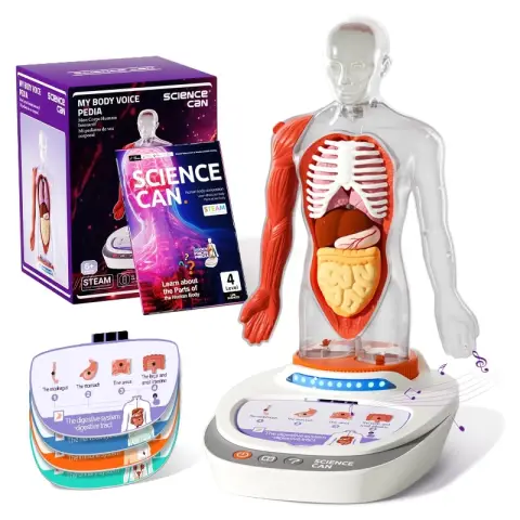 Science Can Human Body Model for Kids, Interactive Human Anatomy Talking Model - 11 Inch Realistic Anatomical Assembly Kit 15PCS Removable Parts and Guide STEM Educational Toys for Kids Aged 6+ Gifts