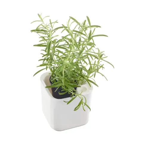 Orthex Eden kruidenpot 12 cm