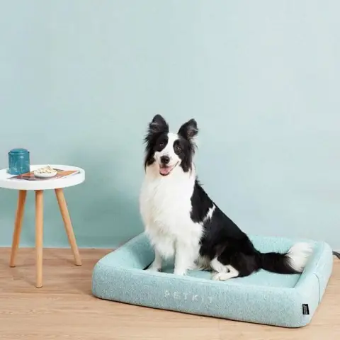 PETKIT Vier Jahreszeiten Katzenstreu Hundestreu Schlafbett - M