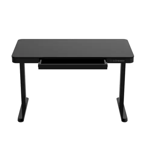 Sit-Stand Desk - Electric Height Adjustable - Wooden Tabletop - 120 x 60 cm - Black