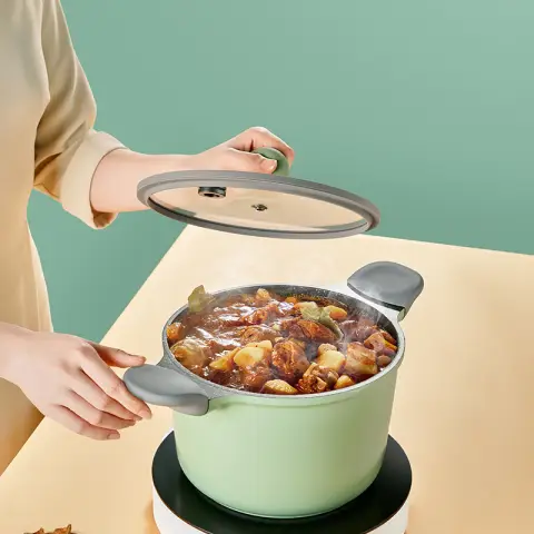 COOKER KING Medical stone household stock pot non-stick induction cooker gas cooker universal multi-function double ear stew pot Mirco-pressure nonstick casserole 22cm