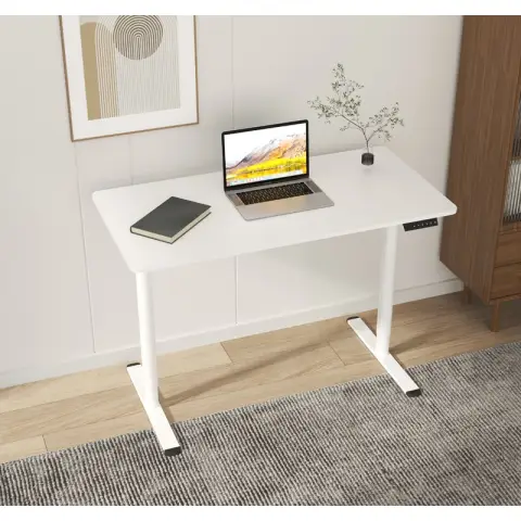 Ochama X Ergonomic Standing Seat Stand Desk Lifting Table Electric Height Adjustable Desk 120 x 60 cm - Super Deals - White