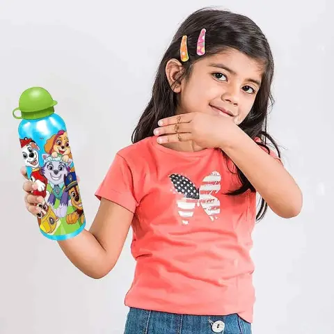 Spin Master Paw Patrol Canteen Aluminium 500ml Ass.