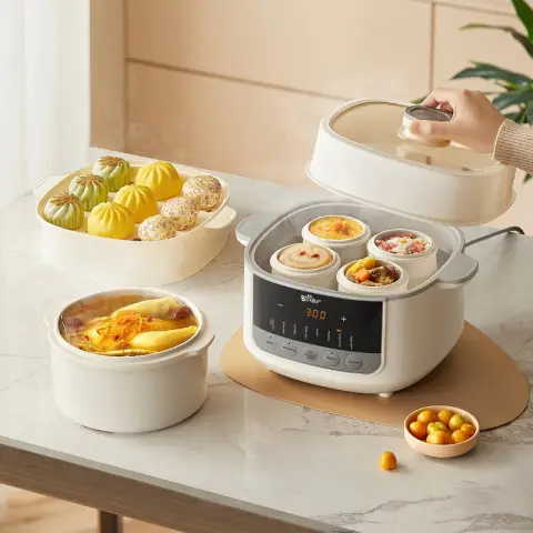 Bear Electric Steamer Pot With Steaming Basket & Transparent Glass Lid DDZ-J25G2