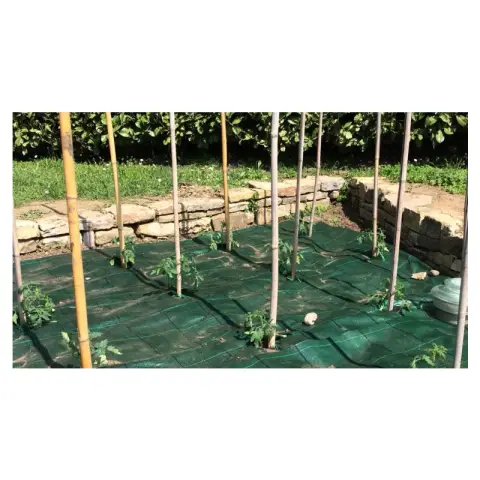 TENAX Cover Pro 0,52 x 100 m vert, toile de couverture pour jardins et potagers