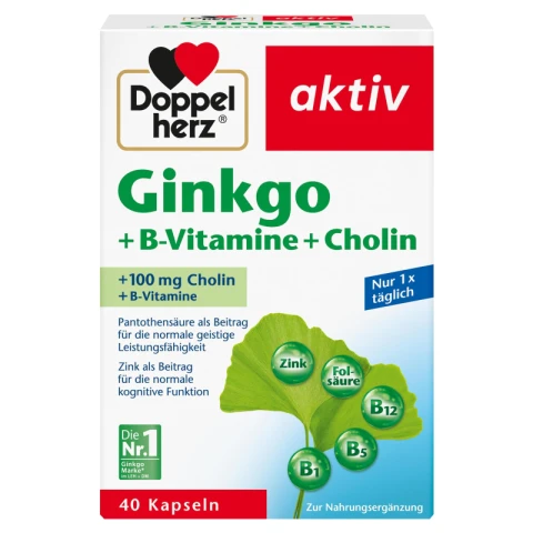 Doppelherz Ginkgo + B-Vitamine+ Cholin 40 Kp