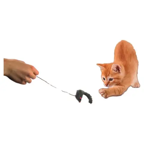 Katzenspielzeug Maus 3as