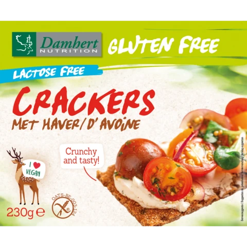 Damhert Craquelins sans gluten à l'avoine sans lactose 230 g  2025-2-1