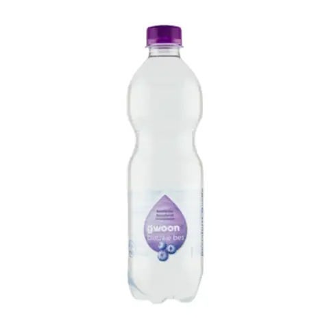 Water Bosbes Kzh Fl 500ml