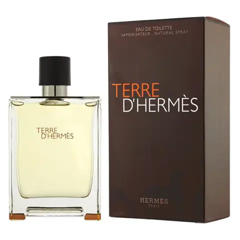 Hermes Terre D'hermes Eau de Toilette Spray 100 ml