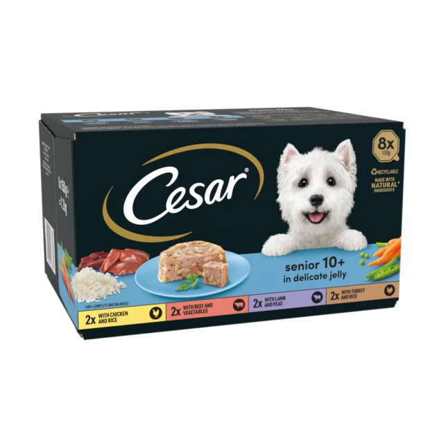 CESAR Senior Wet Dog Food Trays Meat in Delicate Jelly 8 x 150g
