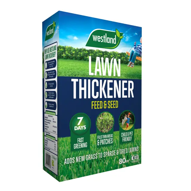 Westland Lawn Thickener 80m2 Box
