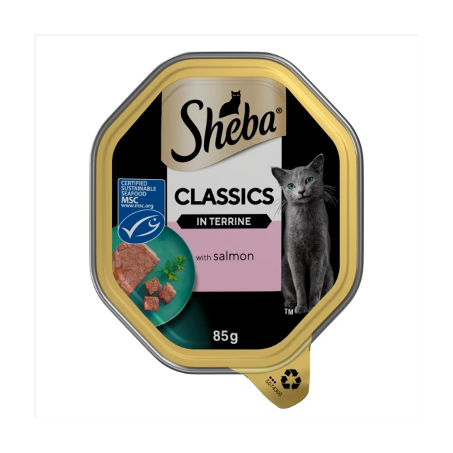 Sheba Classics Wet Cat Food Tray Salmon in Terrine 85g